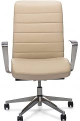 Profoffice Stripe B