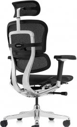 Ergohuman Luxury 2